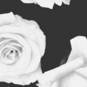 Meet your Posher, Sofia